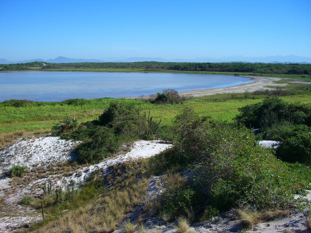 Operação do Inea retira mourões em operação na APA da Massambaba