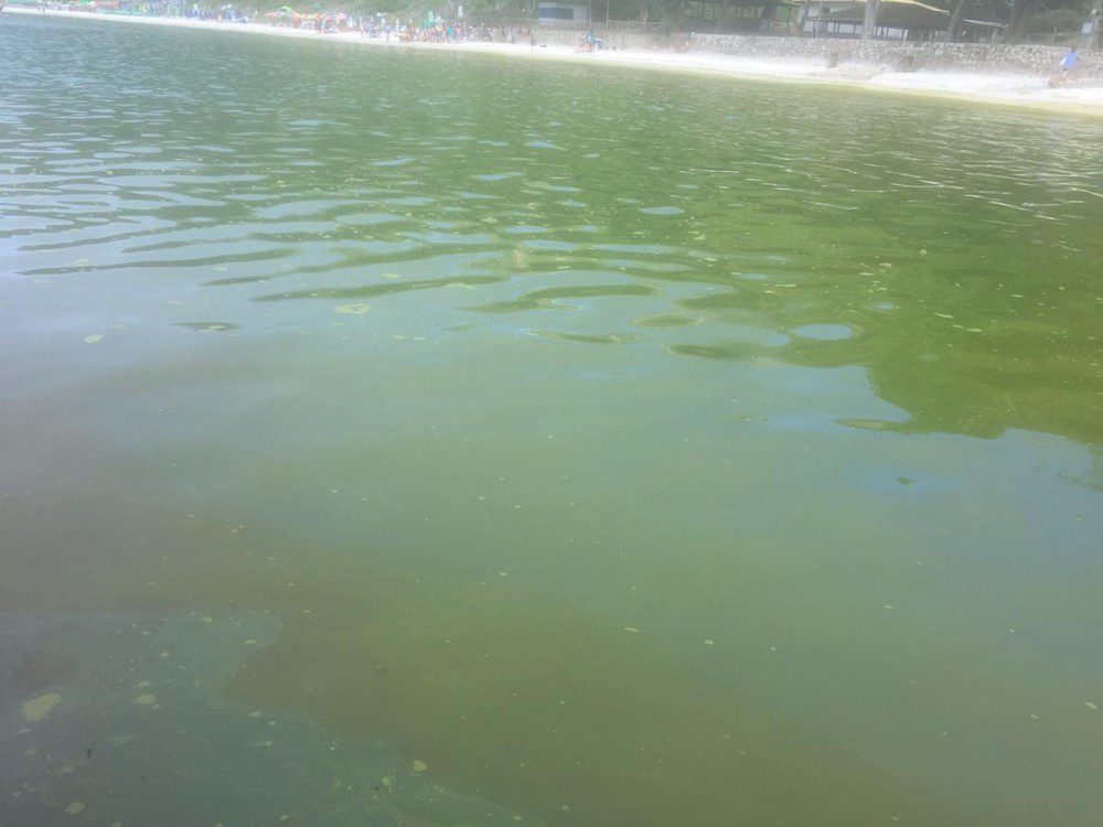 Renatinho Vianna encaminhou memorando urgente a Procuradoria do Município. Foto: Divulgação/Guarda Marítima de Arraial do Cabo