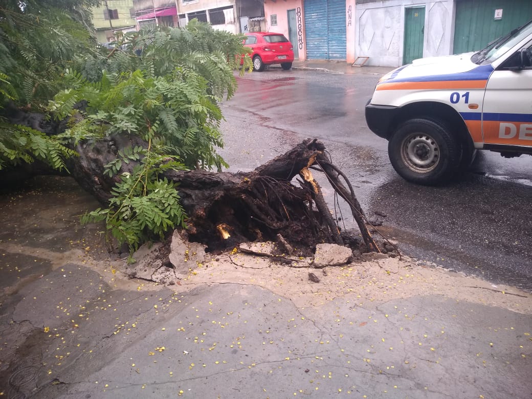 Ocorrências envolvem queda de árvores, rachaduras em paredes e alagamentos. Foto: Defesa Civil CF