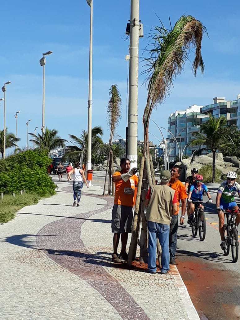 A Prefeitura de Cabo Frio iniciou nesta terça-feira (18), o plantio de 30 árvores na orla da Praia do Forte.
