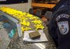 Após uma troca de tiros com suspeitos, a polícia apreendeu 114 sacolés de cocaína e aproximadamente 350 gramas de maconha nessa quinta-feira (01) em Búzios.